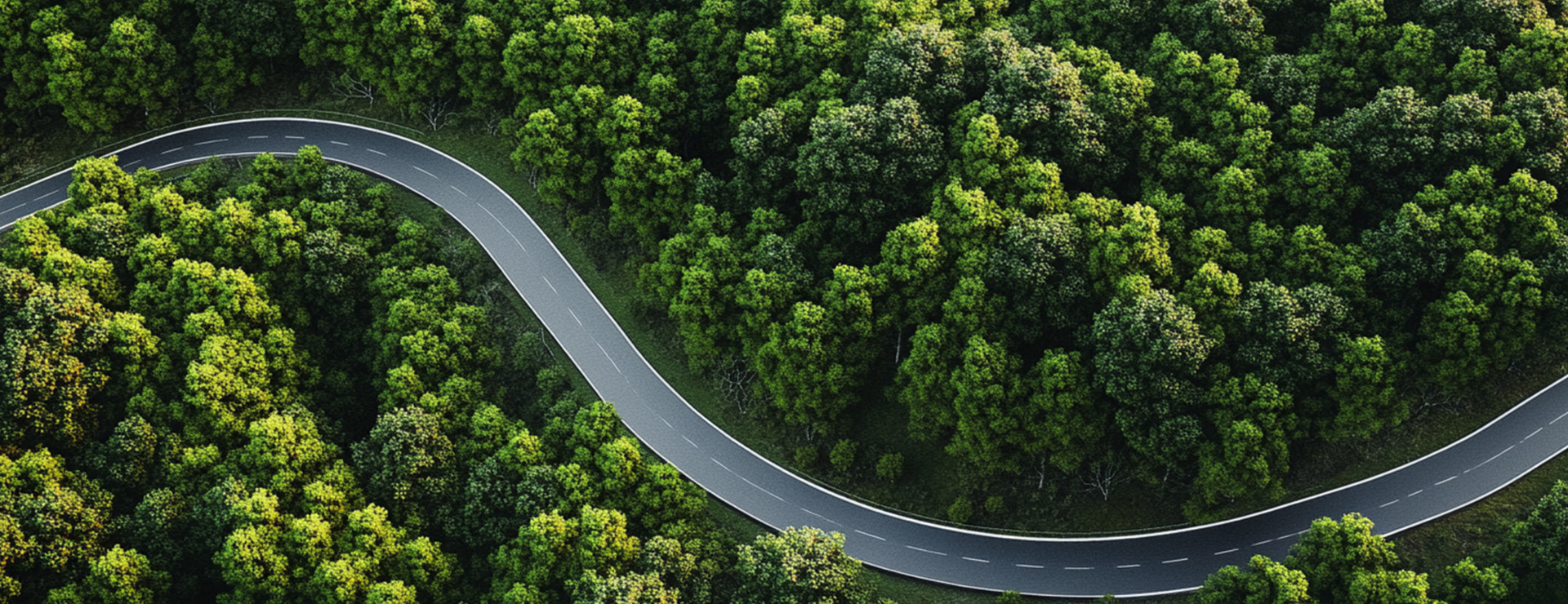 88858cc永利(Macau)有限公司官网